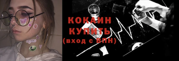 спиды Тавда