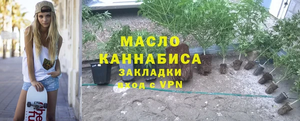 спиды Тавда