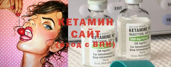 эйфоретик Тайга
