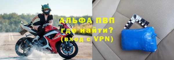эйфоретик Тайга
